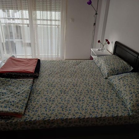 Apartman Savic Plus Apartment บาร์ ภายนอก รูปภาพ